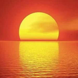 Meet your Posher, Nasir